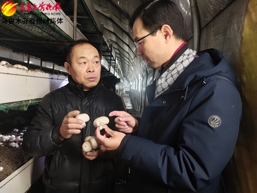 记者跑市场丨水洗菇引热议,新疆菌类专家实地辟谣