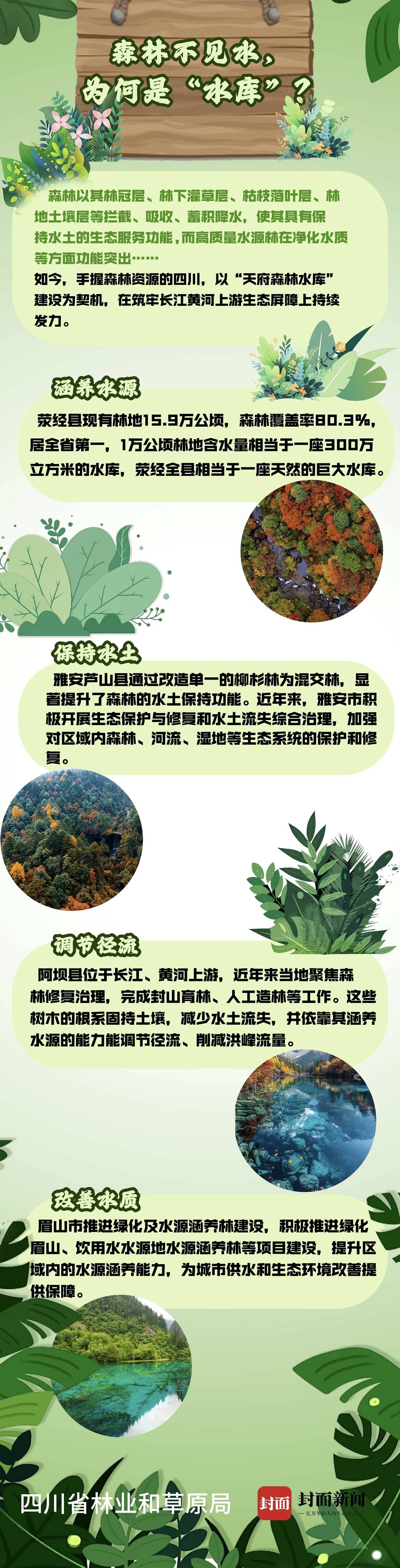 青山间的江河新生:筑牢上游屏障守护一江清水向东流今日头