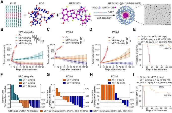 Cell子刊丨兰州大学第二医院焦作义教授团队提出胰腺癌治疗新策