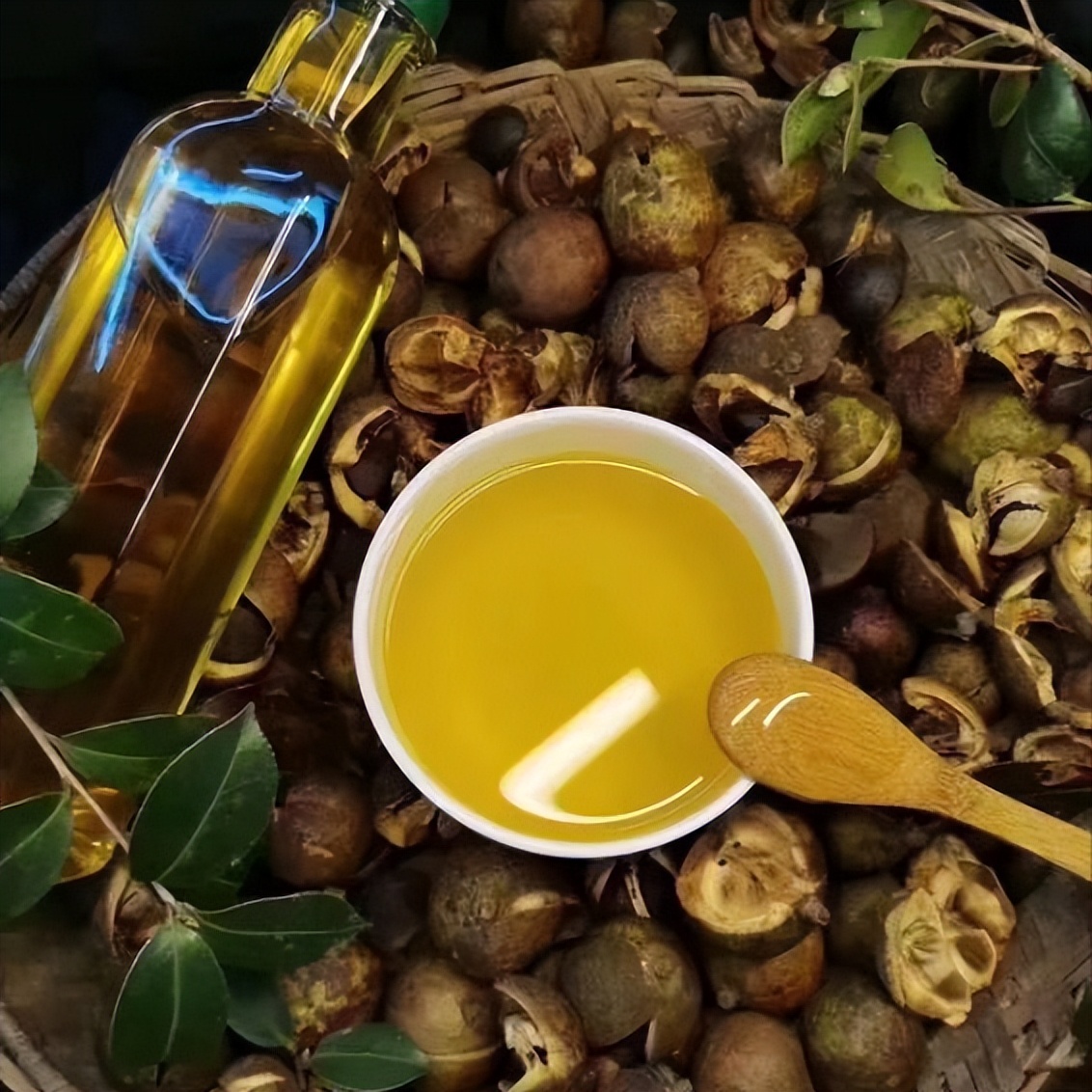 茶油为何越来越少人吃呢?其中茶油的缺点有哪些?