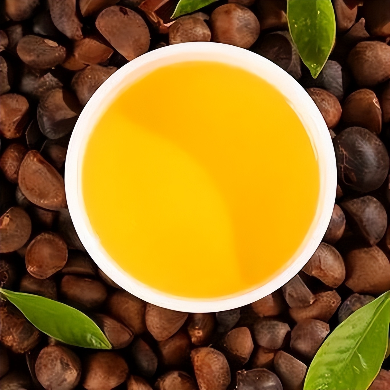 茶油为何越来越少人吃呢?其中茶油的缺点有哪些?