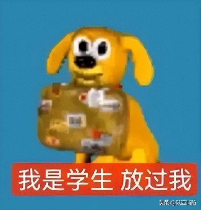 寒假作业大作战，厨房竟意外躺枪？