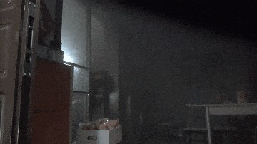 寒假作业大作战,厨房竟意外躺枪?