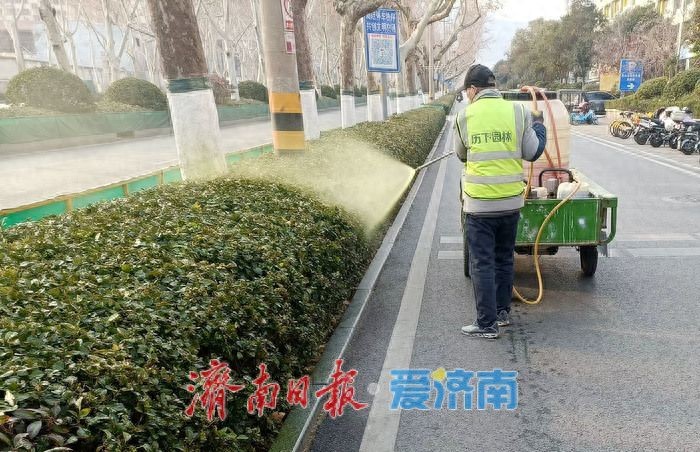 历下园林开展春季病虫害防治专项行动