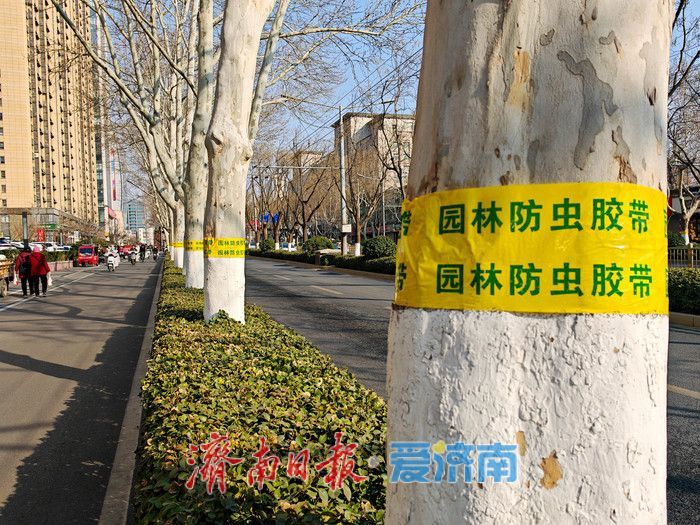历下园林开展春季病虫害防治专项行动