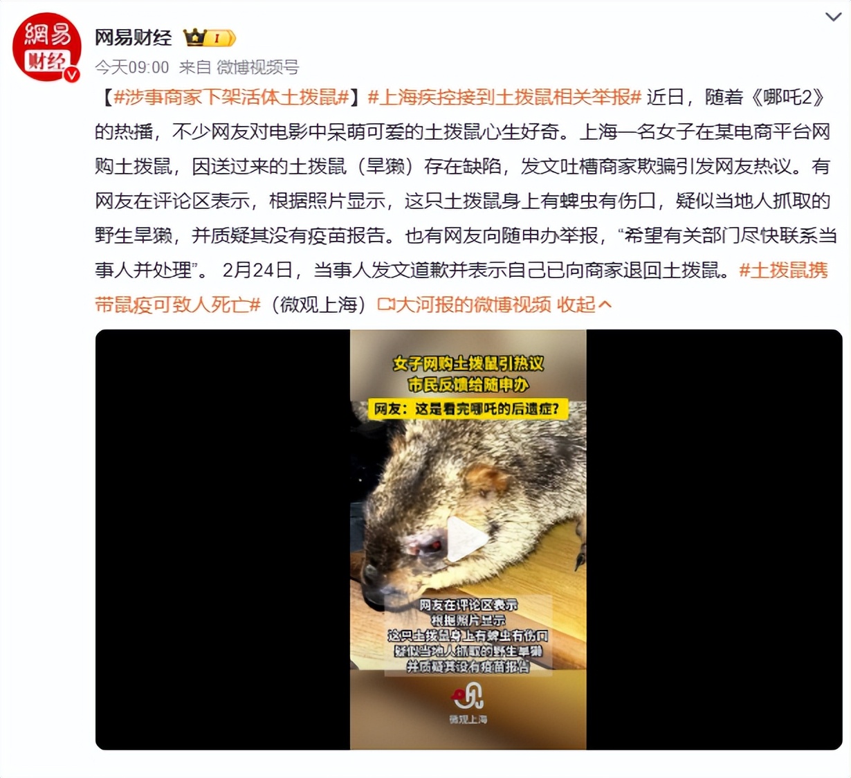 远离土拨鼠!远离土拨鼠!远离土拨鼠!