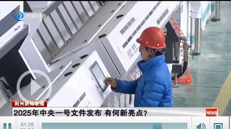 2025年中央一号文件发布有何新亮点？