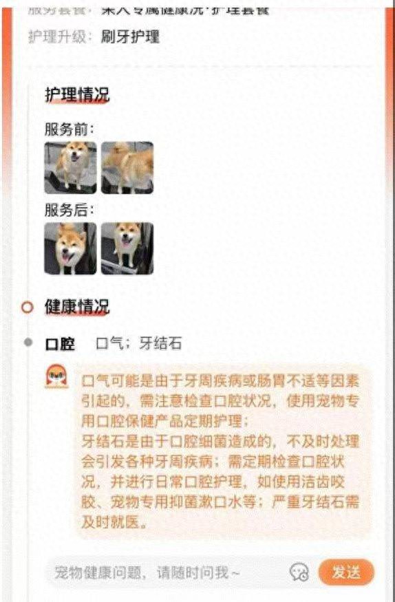 新经济观察丨宠物服务行业接入DeepSeek智慧养宠时代加速到来