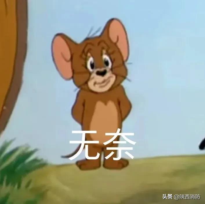 400斤腊肉毁于一旦!汉中一居民因熏制腊肉操作失误引起大火