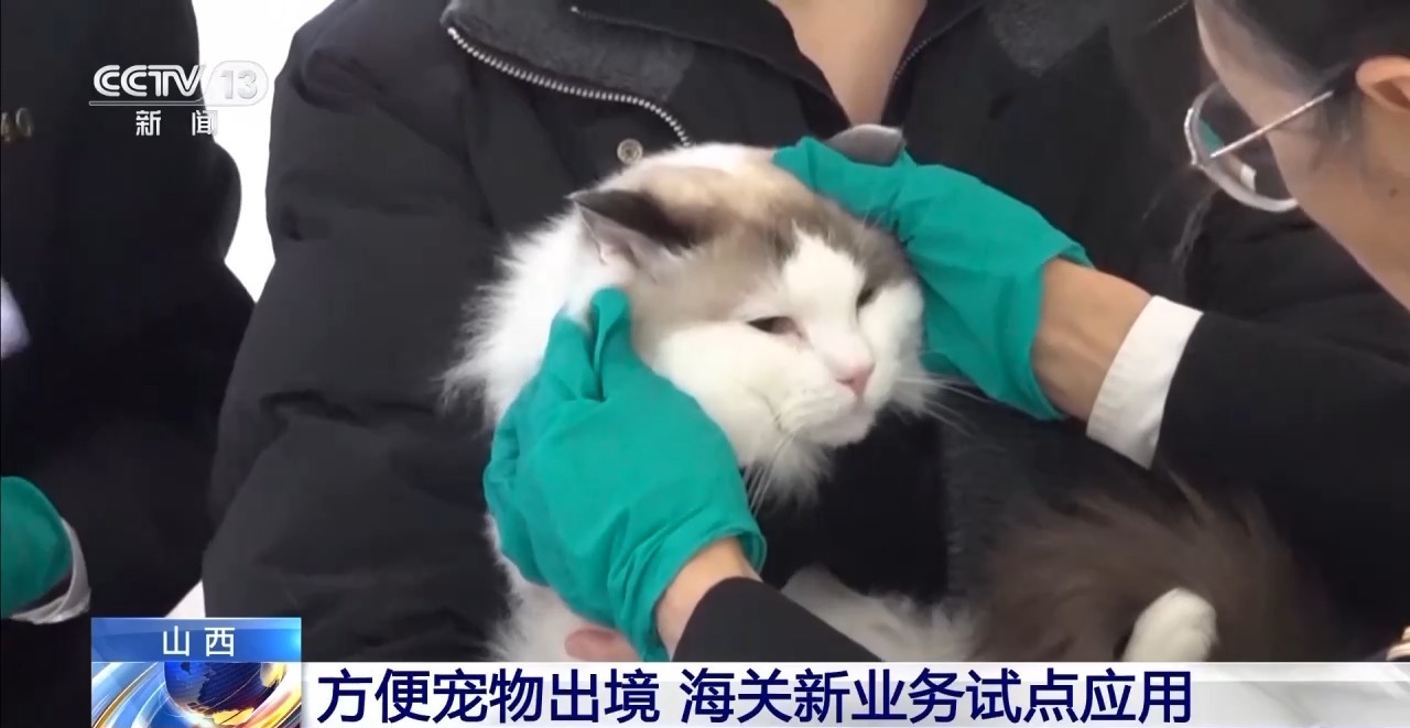 线上申报+线下健康检查方便宠物出境海关新业务试点应用今日